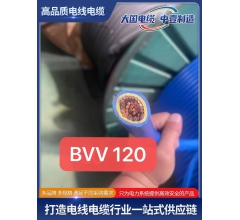 BVV 120平方绝缘阻燃铜芯电线