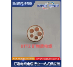 BTTZ 矿物质电缆