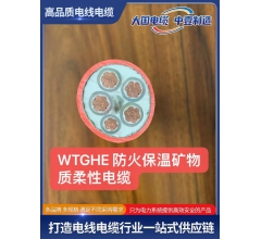 WTGHE 防火保温矿物质柔性电缆